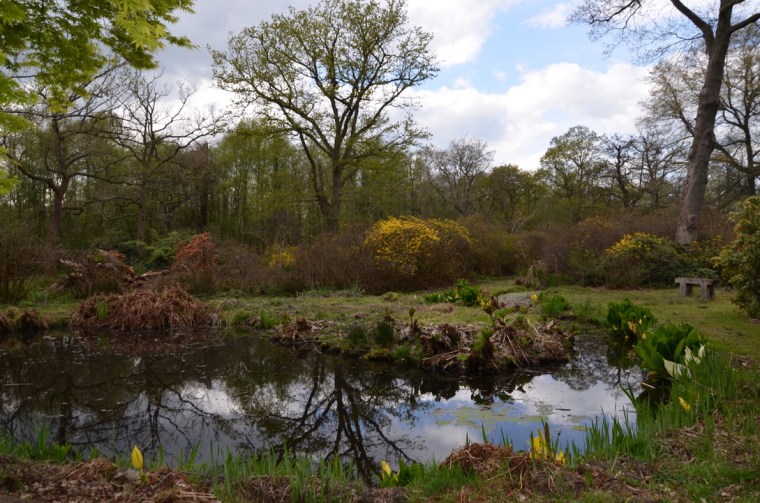 How Hill secret garden, Norfolk, England