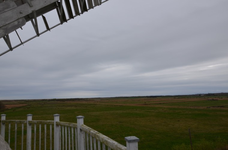View from Horsey windpump, Norfolk, england