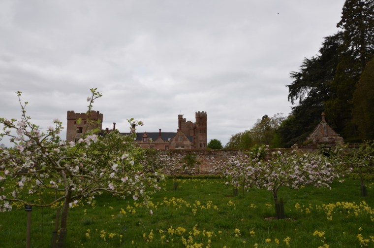 Orchard at Oxburgh Estate, Norfolk
