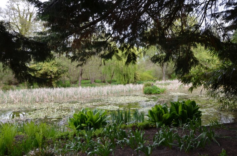 Gooderstone Water garden, Norfolk