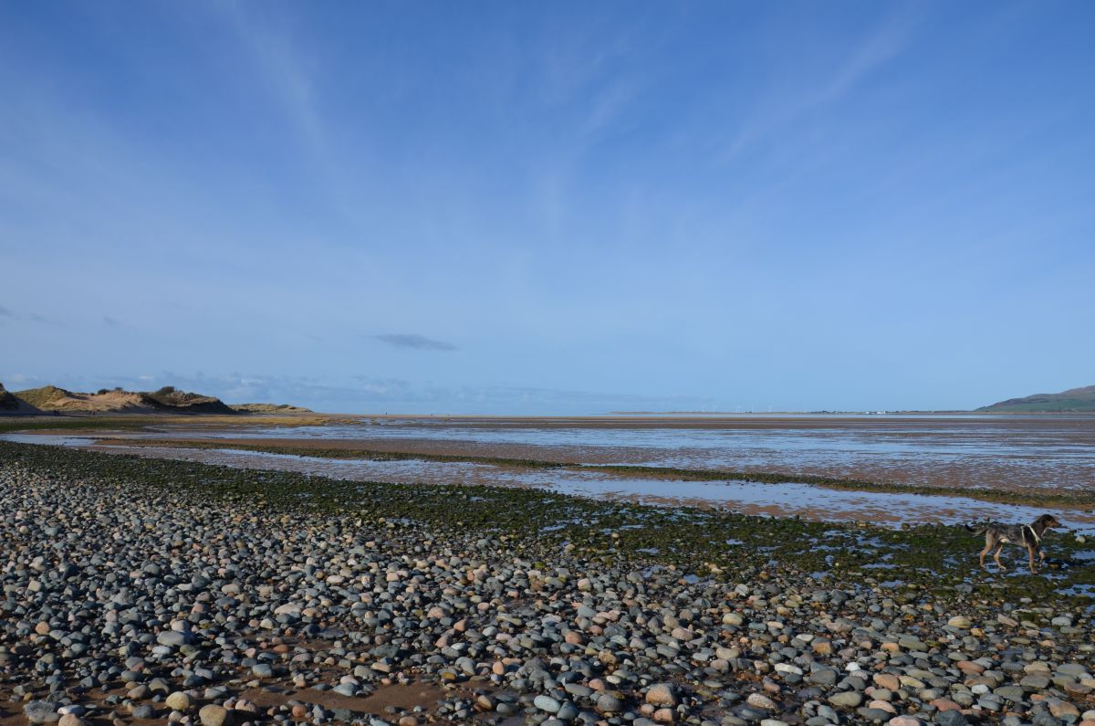 The peebles beach at Sandscale Haws