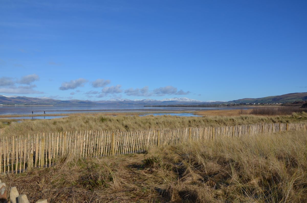 Sandscale Haws beach 