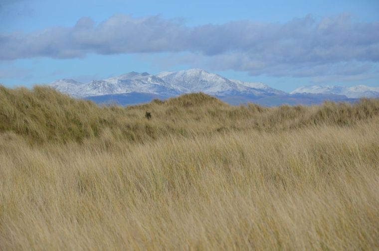 Dune of Sandscale with the summit of Lake District in background