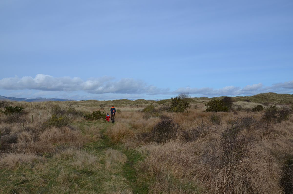 The dunes of Sandscale Haws