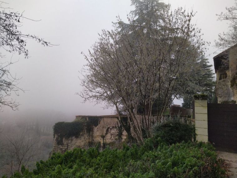 House in Aubeterre sur Dronne