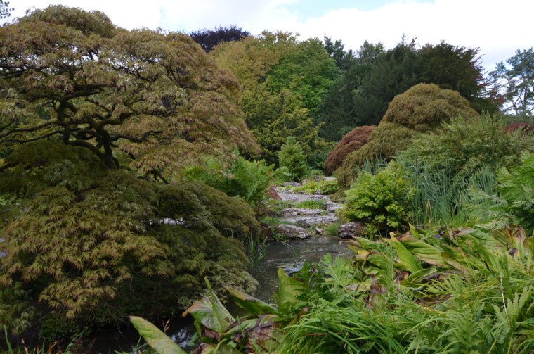 Stunning rock garden at Sizergh