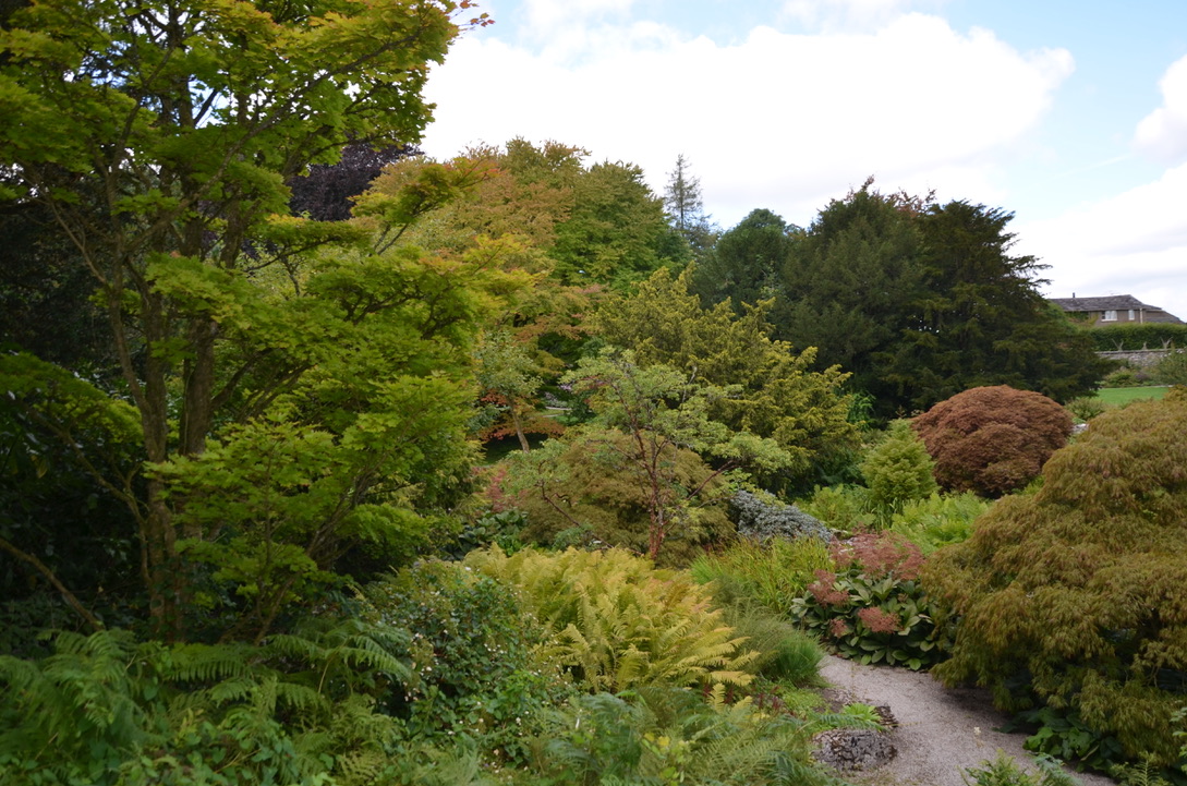 More of the Sizergh garden