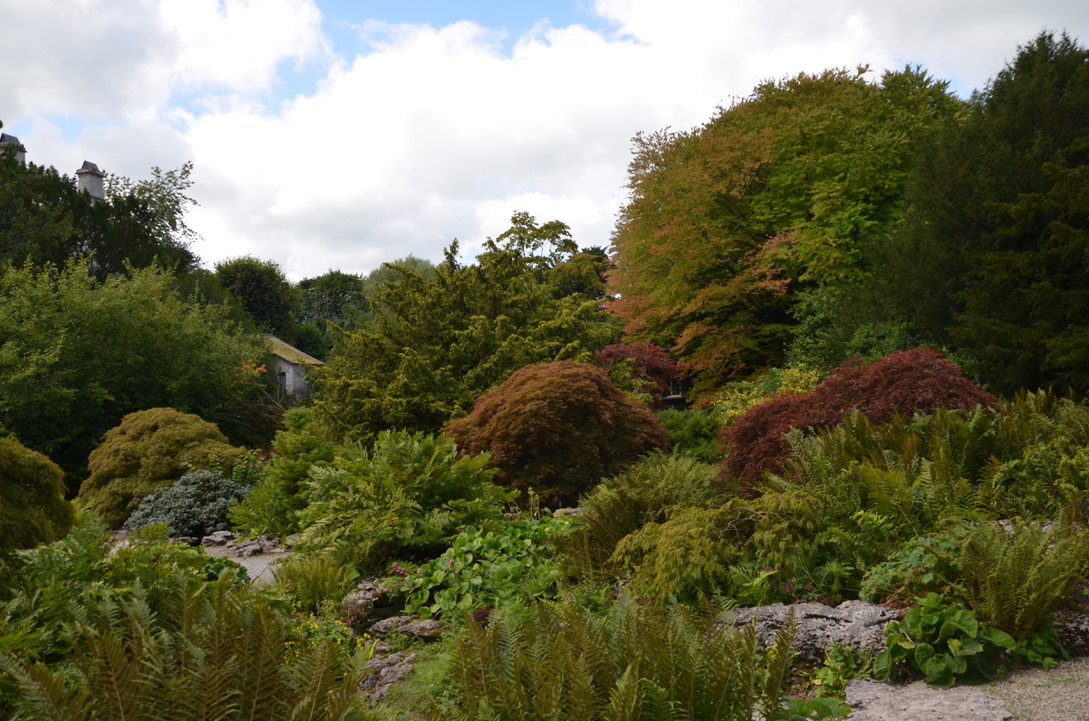 Summer colours at Sizergh garden