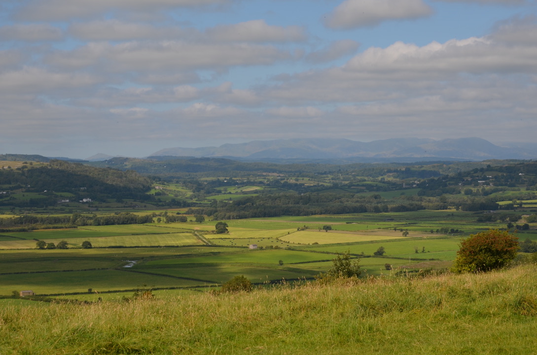 More view from Sizergh Estate