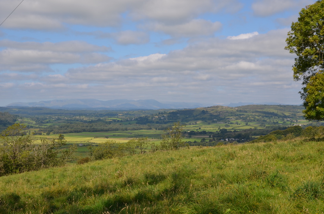 View from Sizergh Estate