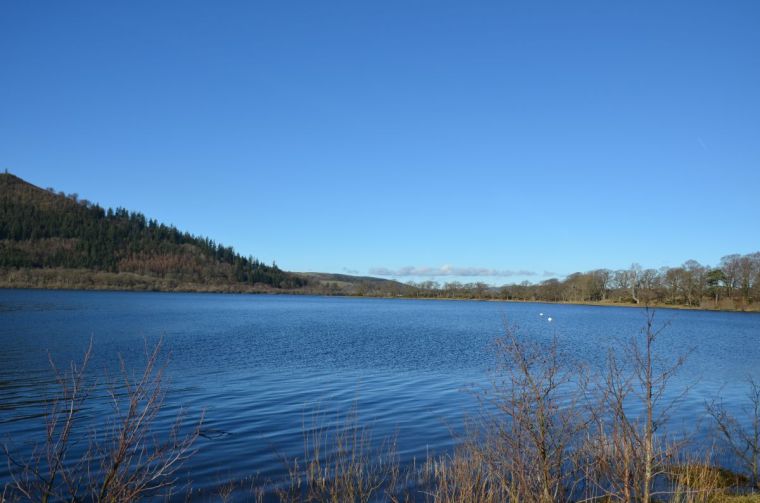 Shore of bassenthwaite with the end of Whinlatter forest
