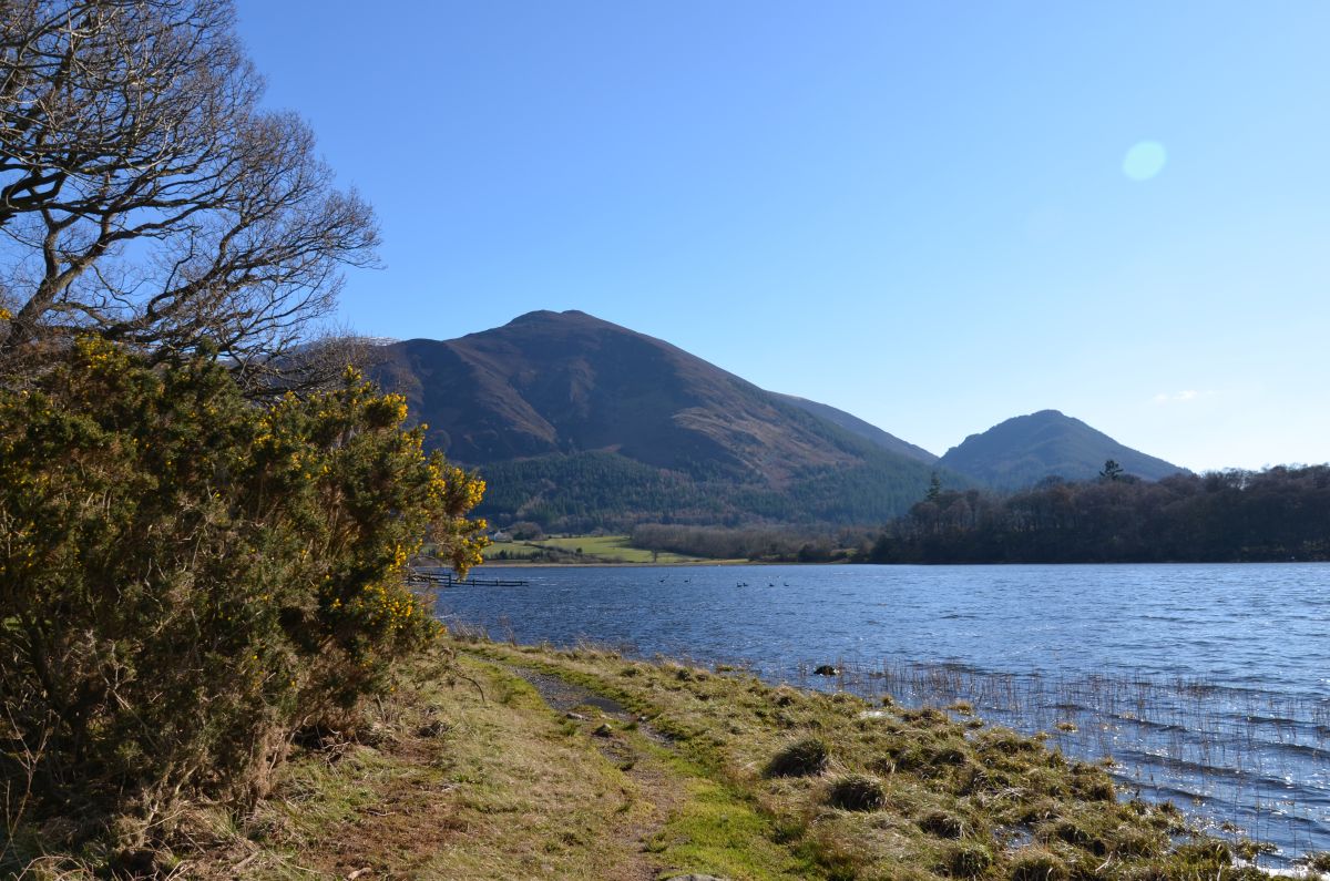 Dodd summit with bassenthwaite lake