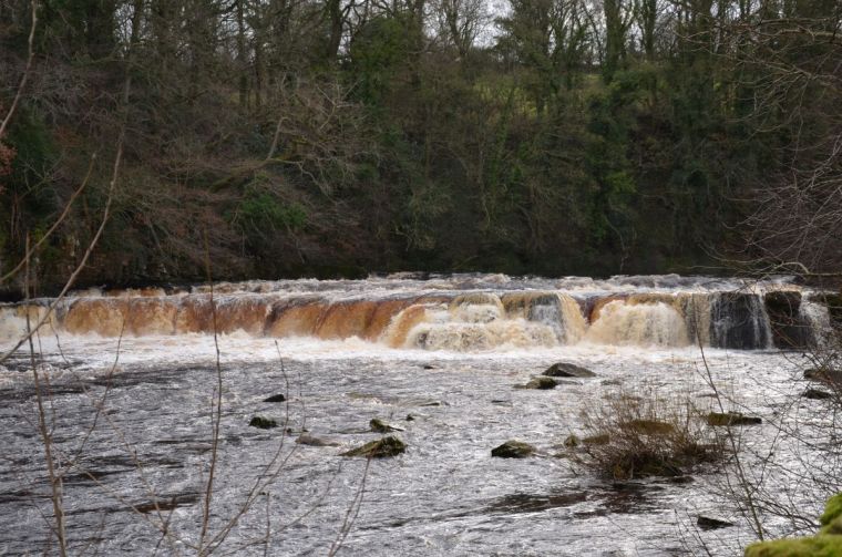 Admiring the waterfall on the Swale river at Richmond