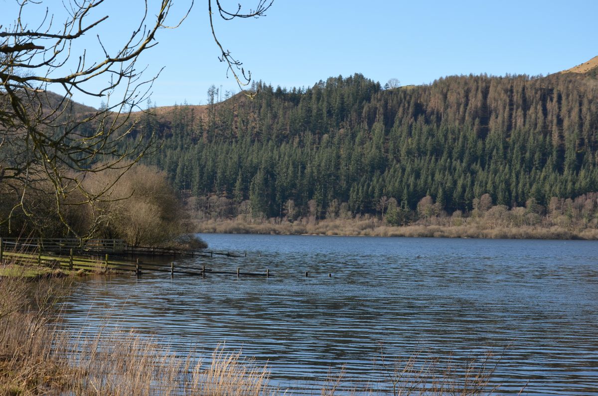 Walking along the shore of Bassenthwaite lake