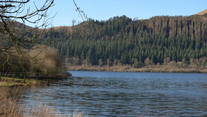 Walking along the shore of Bassenthwaite lake