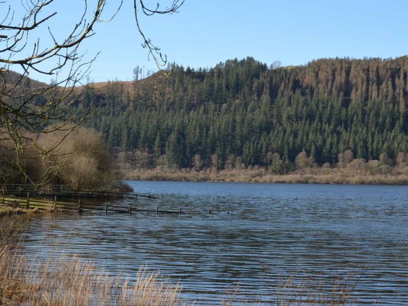 Bassenthwaite Lake: Scarness to Bowness Bay | Family & Dog-Friendly Walking&nbsp;Guide