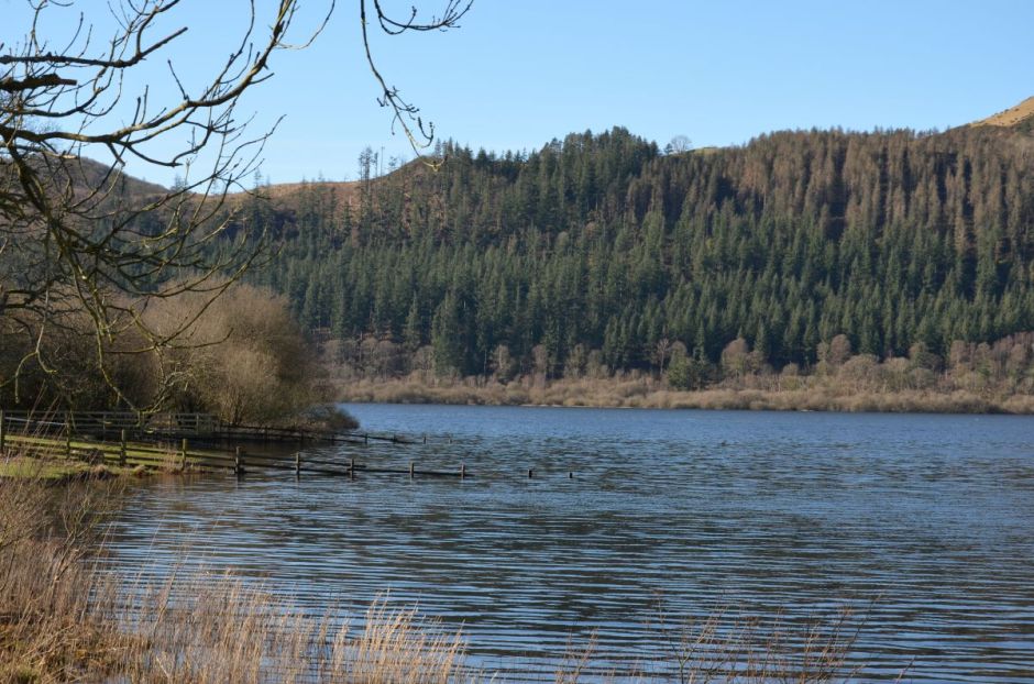 Walking along the shore of Bassenthwaite lake