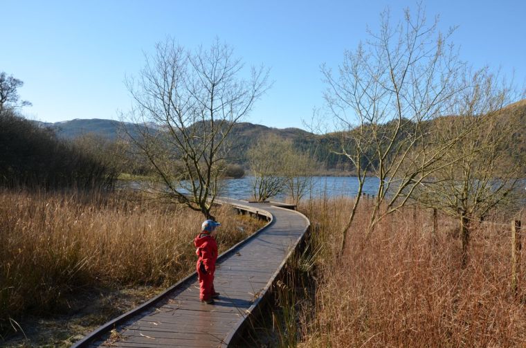 Walkway path along the shore of Bassenthwaite lake