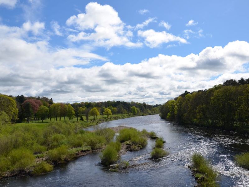 Corbridge & Hexham: Historic High Streets & Riverside Walk | Family & Dog-Friendly Day&nbsp;out
