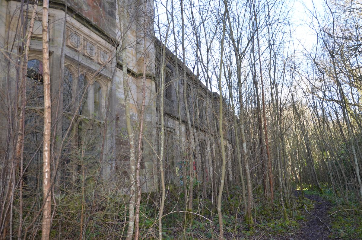 Side of Dunmore house covered by trees