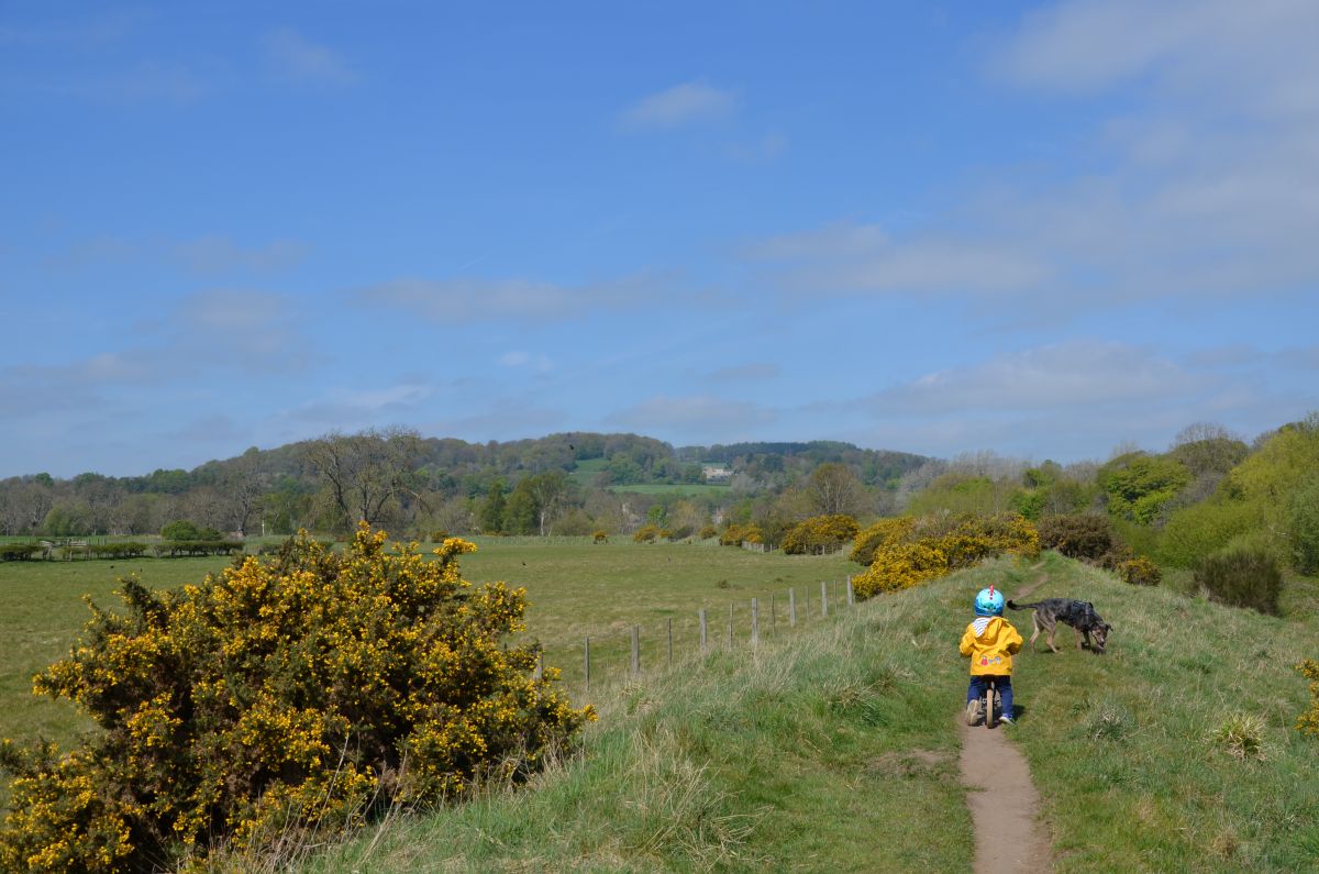 Walking path near Hexham