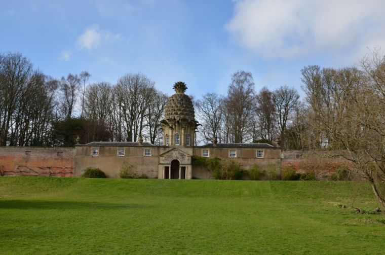 Observing the Dunmore Pineapple