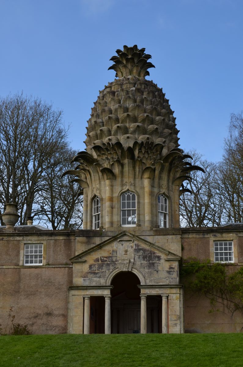 Close photo of the Dunmore Pineapple