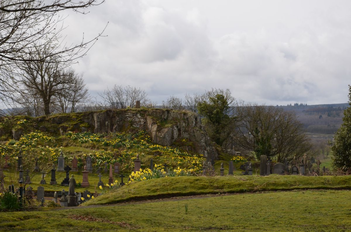 The graveyard near the Church of Holy Rude full of daffodils in Stirling