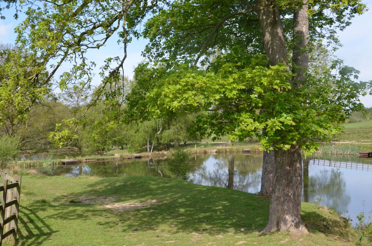 The small ponds in Hardwick estate