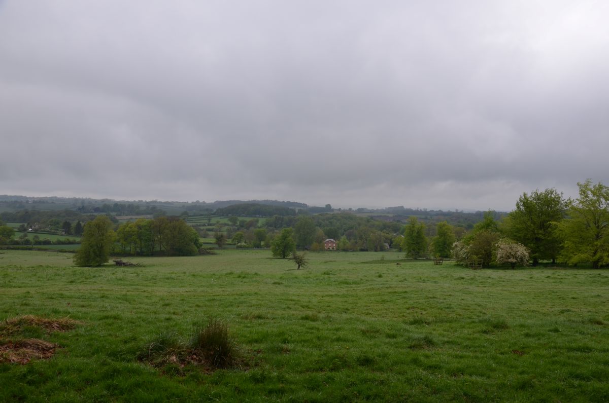 Countryside view