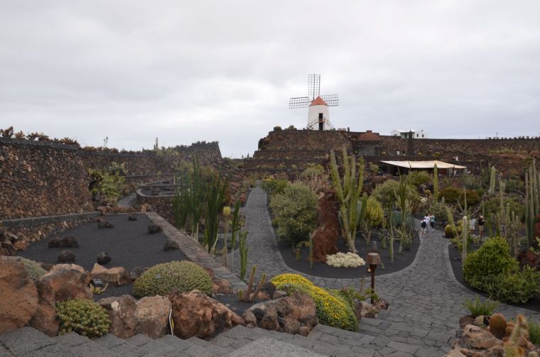 view of the windmill from the bottom of the garden of Cactus in Lanzarote