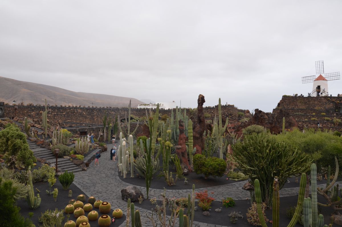 Side view of the garden of Cactus in Lanzarote