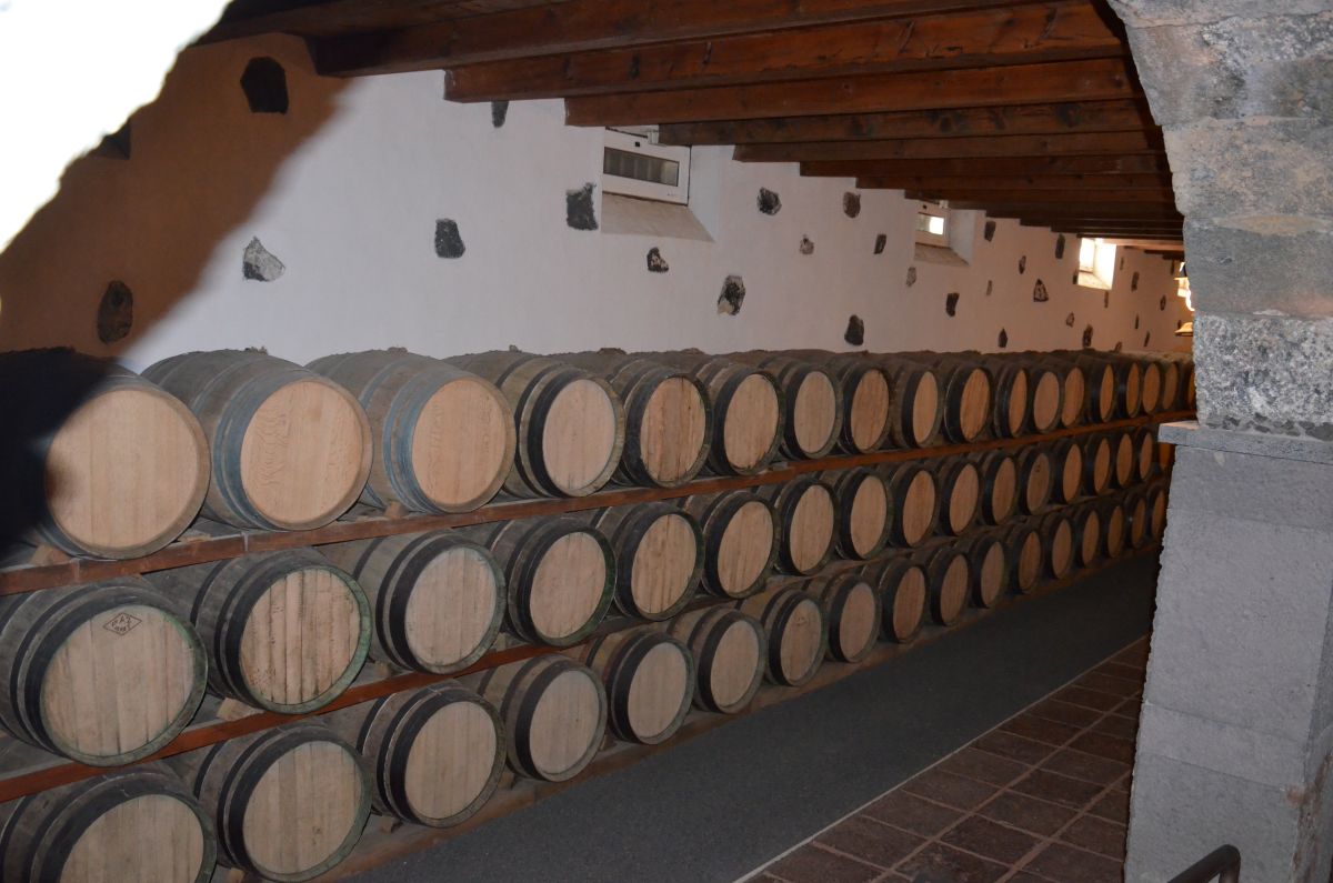 Cellar in bodega Rubicon