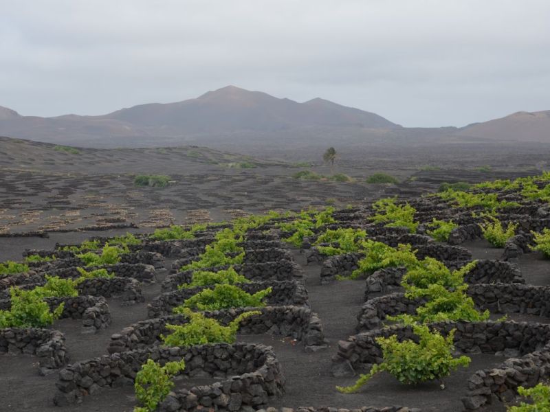 Exploring Lanzarote’s Interior & West Coast: Volcanic Vineyards, Colonial Charm & Wild&nbsp;Beaches